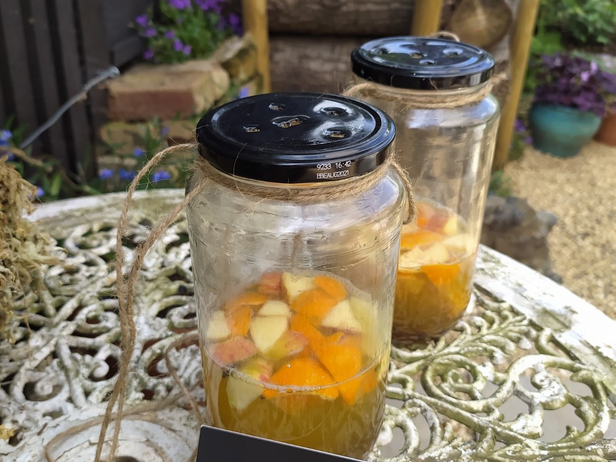 Wasps in the garden, but no&nbsp;nest?